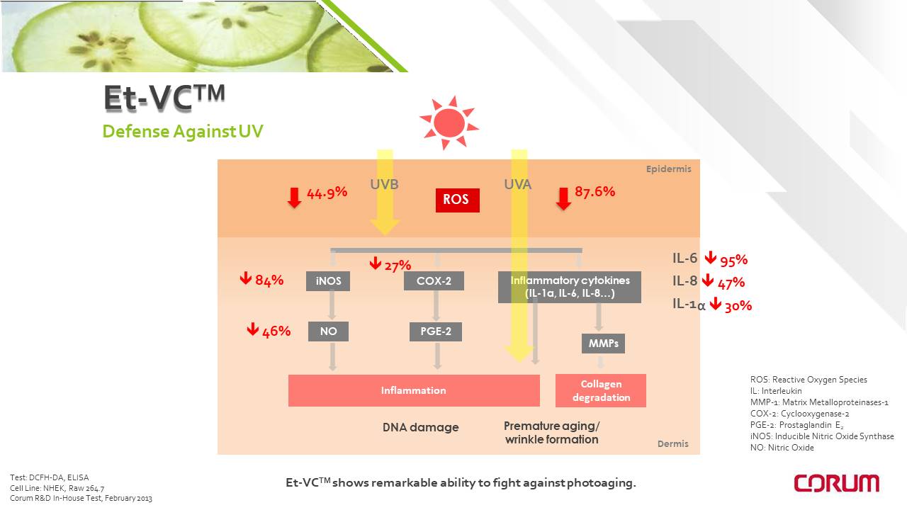 Diapositiva14