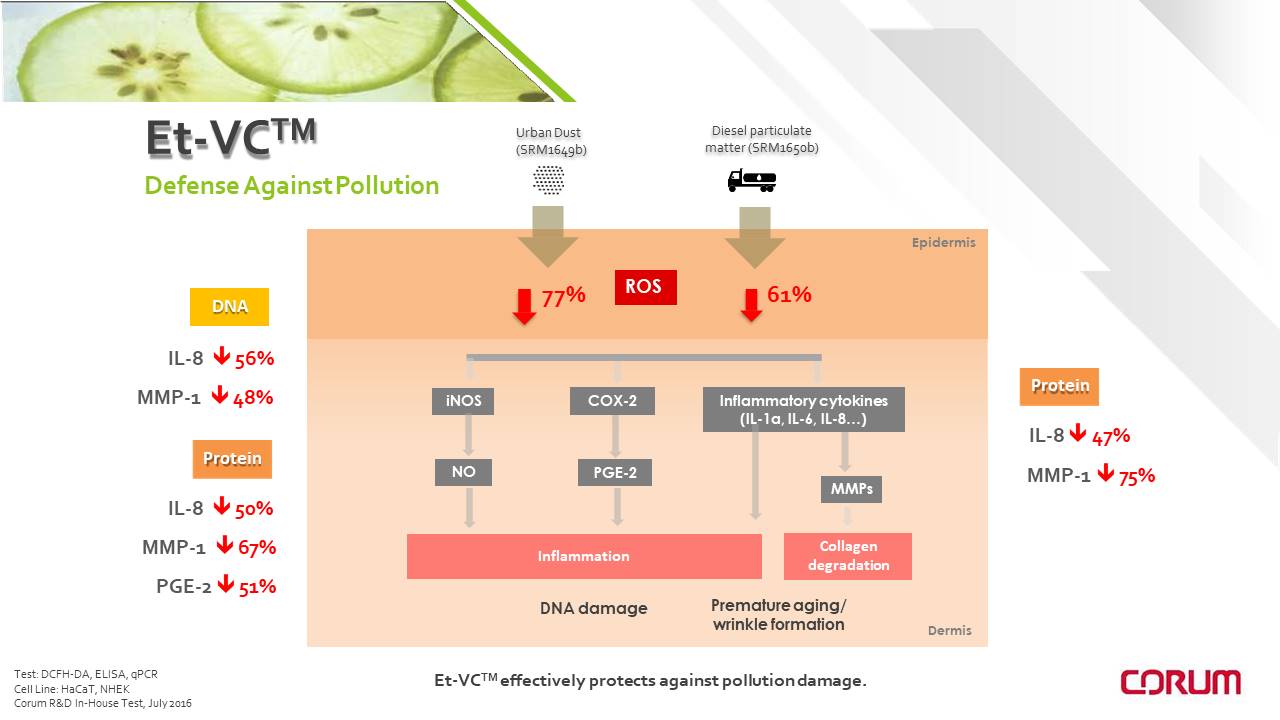 Diapositiva15