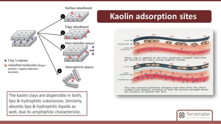 Diapositiva12