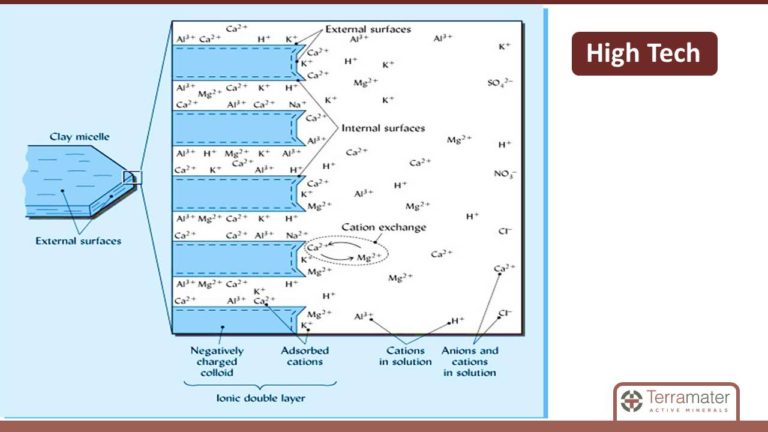 Diapositiva13