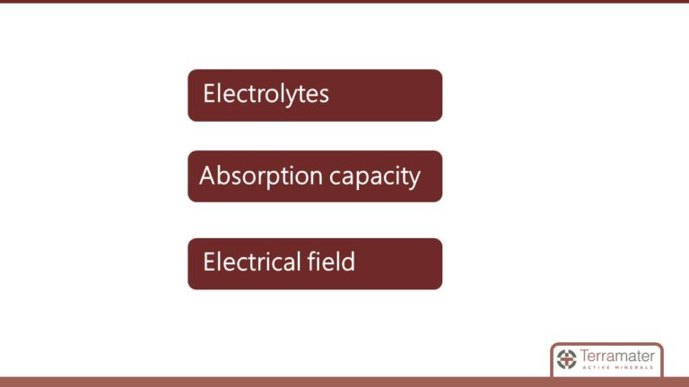 Diapositiva14