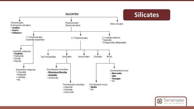 Diapositiva36