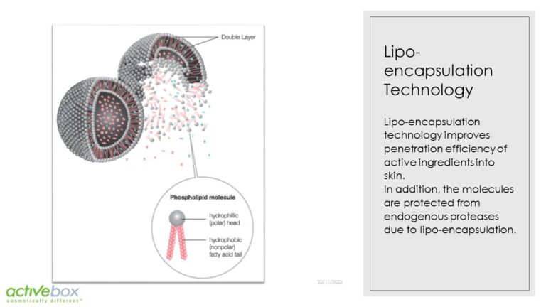 Diapositiva10